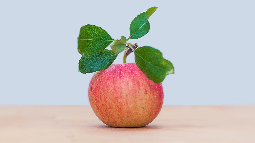 Autumn Apple Picking: From Orchards to Delicious Compote and Greeting Cards